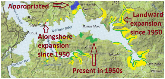 city island 4 connect to mangrove