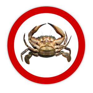 asian paddle crab