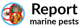 REPORT MARINE PESTS