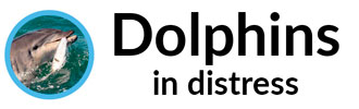 dolphins in distress