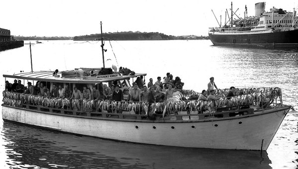 SNA HG 3000 caught in 4 hours 1958 NZ Herald photo